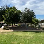 Olive Glen