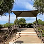 Olive Glen